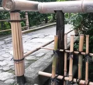 bamboo fences