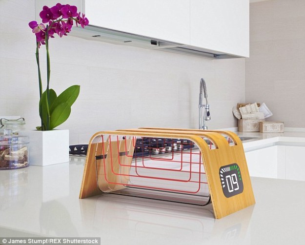 bamboo toaster