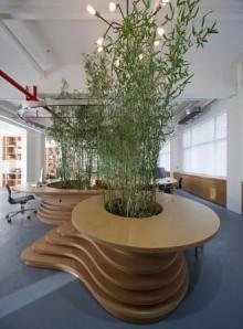 living bamboo office divider
