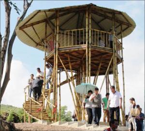 bamboo, birdwatching tower